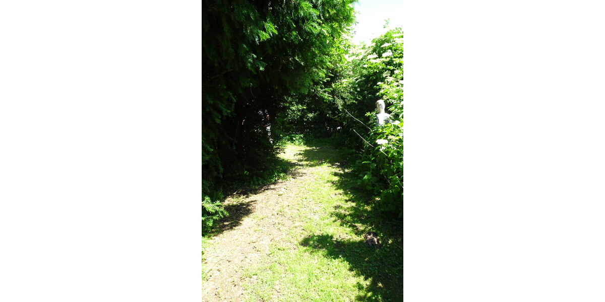 Weg zum Hühnerstall1